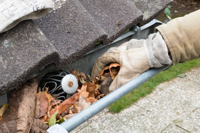 Cleaned Gutter System